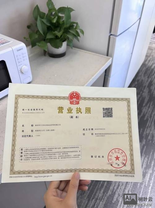 企业营业执照如何备案