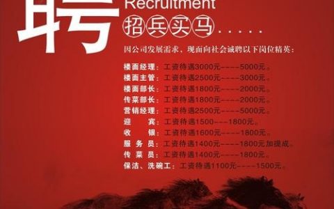 baocms招聘？岗位要求与薪资待遇如何？