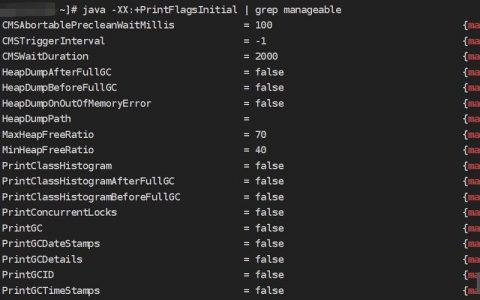 Java main方法命令行参数如何正确传递与解析？