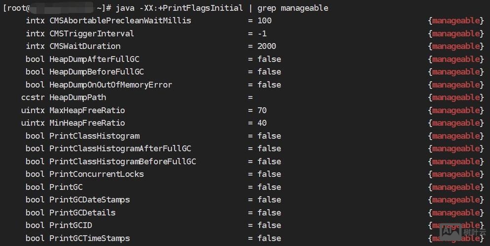 java main 命令行参数