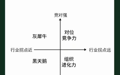 网站竞争分析怎么做?关键步骤有哪些?