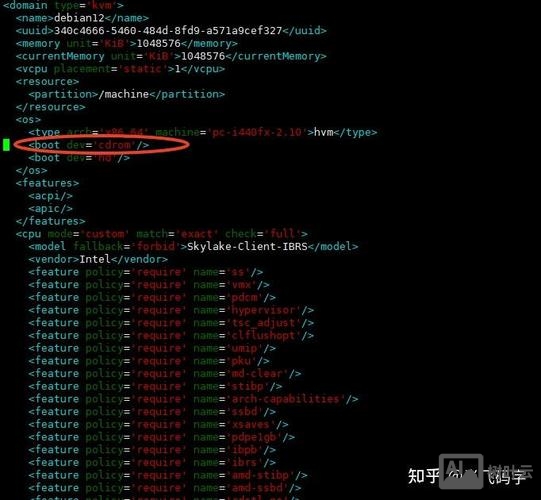 debian 以命令行启动