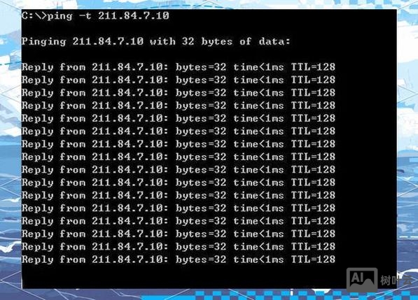 运行测试网络的命令是