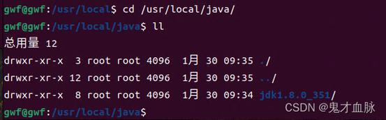 ubuntu 命令行 下载 jdk