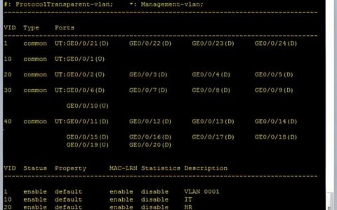华为路由器ping命令怎么用？