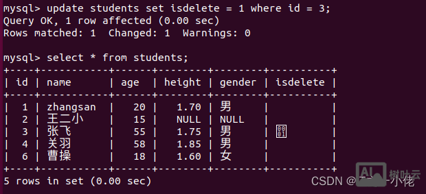 命令行执行sql语句