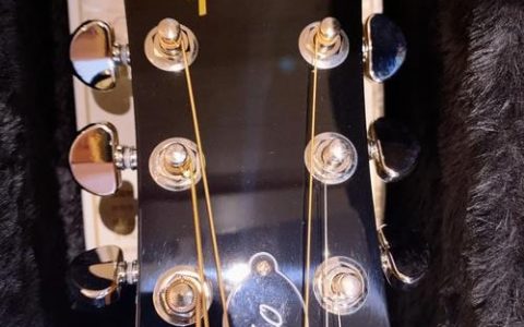 Gibson招聘什么岗位？要求有哪些？