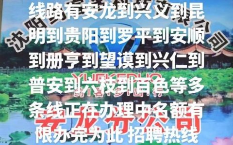 buser招聘，具体岗位和要求是什么？