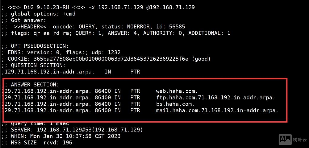 centos 命令行 配置网络
