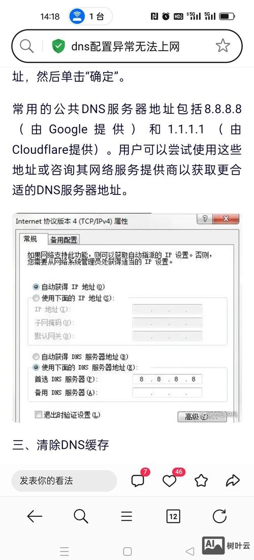 如何看访问网站的dns