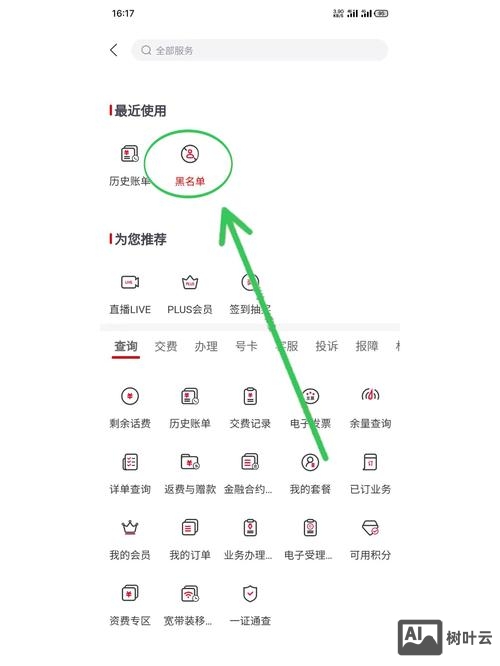 域名黑名单如何使用