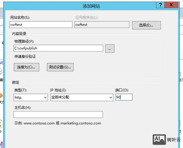 虚拟空间如何发布iis