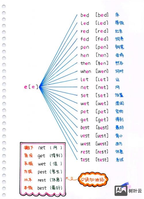 如何根据元音规律记单词