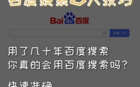 搜索排名优化，如何选对策略？