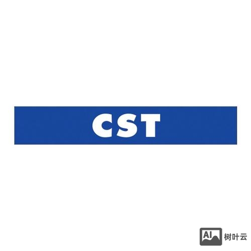 csts 招聘
