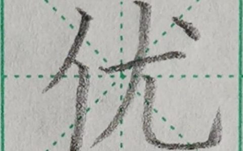 优字使用说明,具体怎么用?