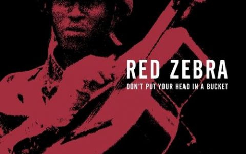 Reddigitalcinema招聘，具体岗位和要求是什么？