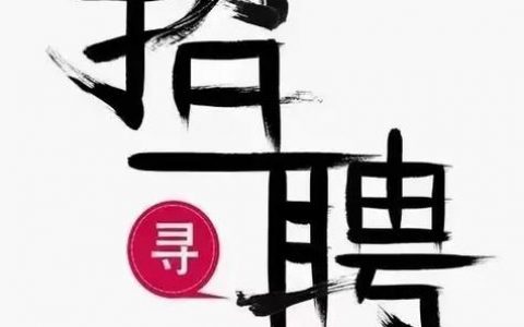Avanquest招聘什么岗位？要求如何？