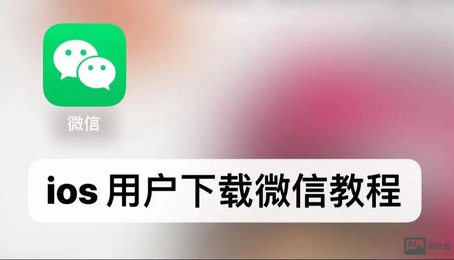 如何开发微信微网站