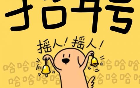 APUE招聘，具体岗位和要求是什么？