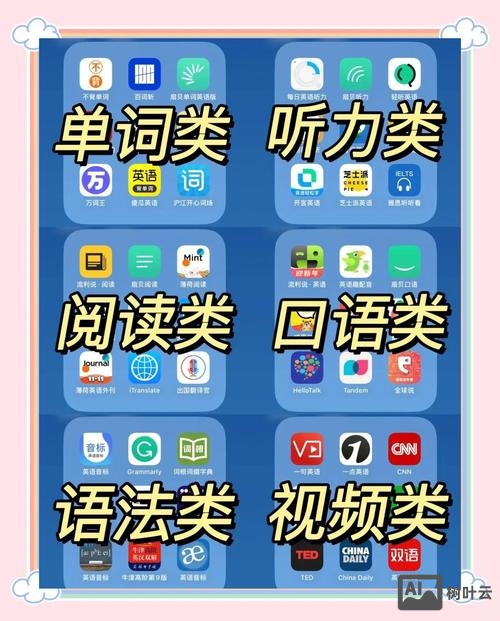 如何开发单词app下载