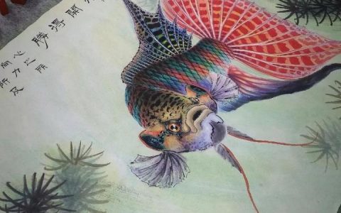 斗鱼招聘有何新动向或岗位需求？