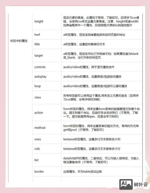 如何在网页设计标签