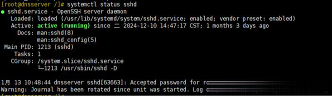 交换机ssh登录命令