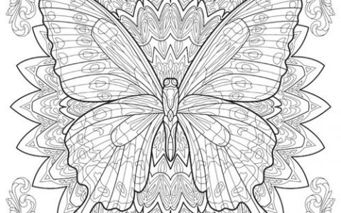 AI描轮廓线的关键技术是什么？