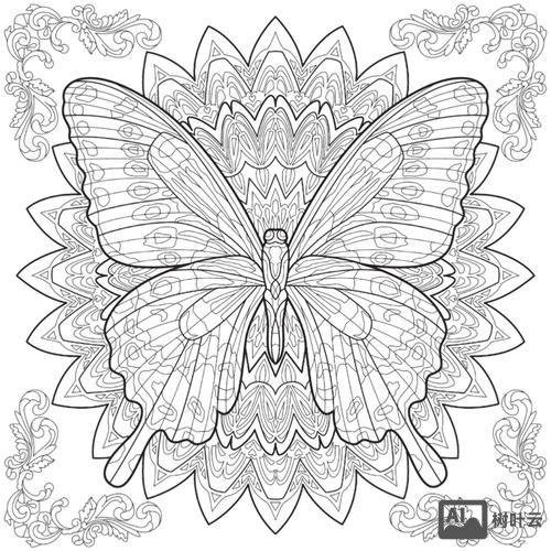 ai如何描轮廓线