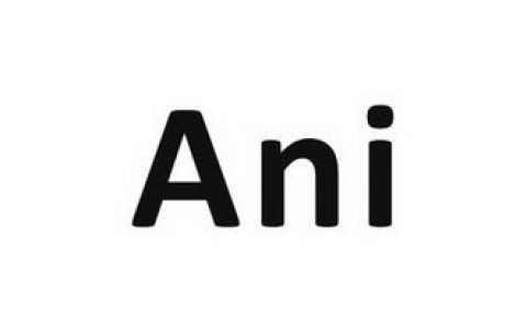 Anite招聘什么岗位？要求有哪些？