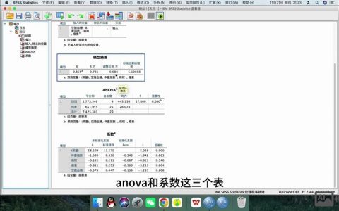 数据库回滚命令如何正确使用？
