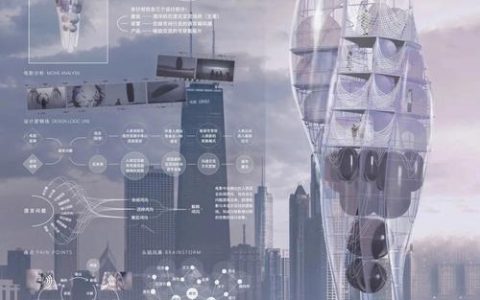 设计师未来路在何方？