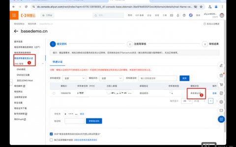 政府机构域名申请有何特殊流程与要求？