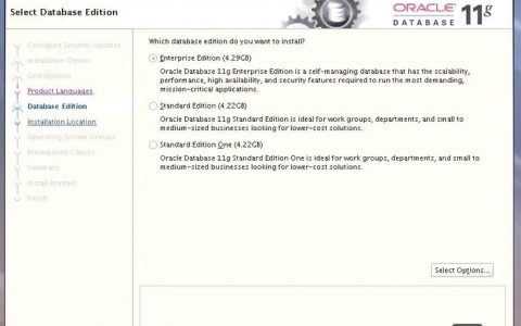 Oracle11g命令文件有哪些常用命令？