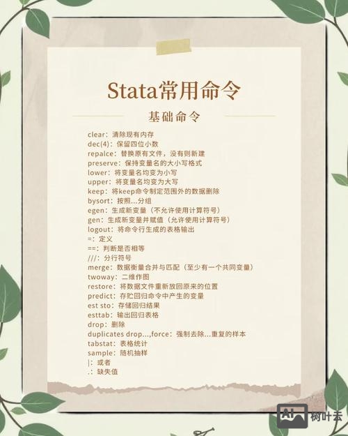 stata 滞后一期 命令