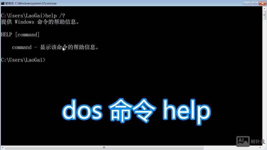 批处理命令打开网页