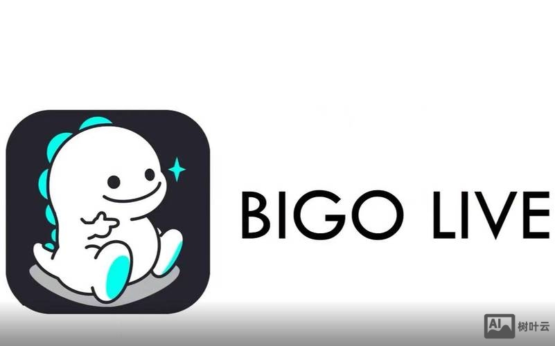 bigo 招聘