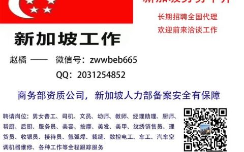 Dexmo招聘有何独特优势或岗位亮点？