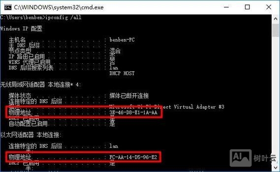 查看mac地址表的命令
