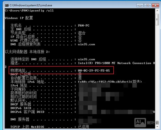 查看mac地址表的命令