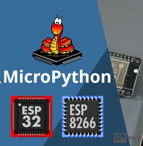 招聘micropython