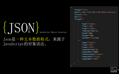 招聘json数据如何高效解析？