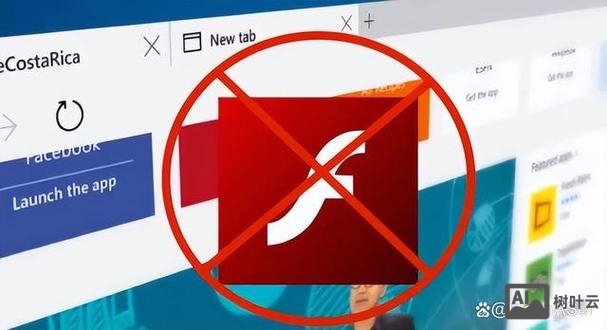 dede中如何更新flash插件