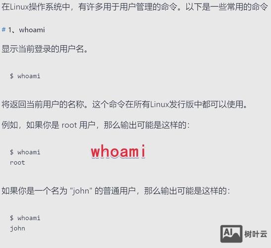 查看当前用户命令行