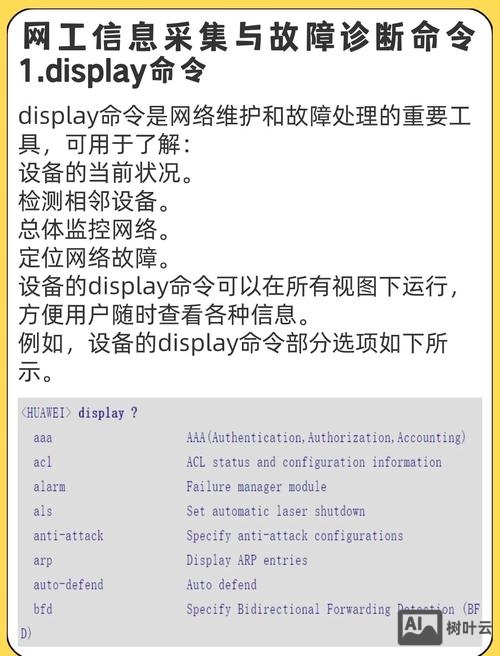 查看当前用户命令行