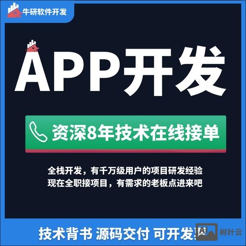 开发后的app如何应用