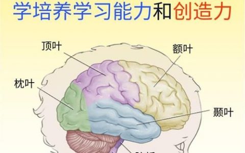 智力障碍小孩启蒙，该从哪步开始？