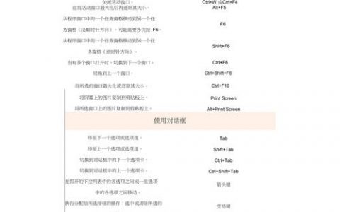 Word2010命令设置入口在哪？