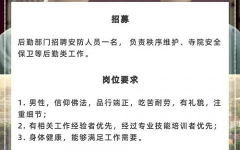 nies招聘有哪些岗位？